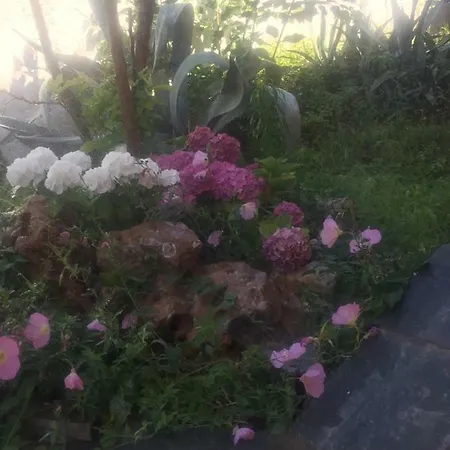 Loukas House Nyaraló