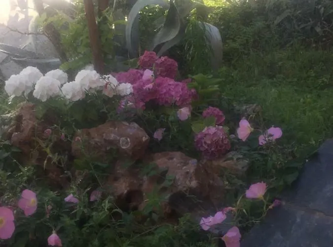 Loukas House Сasa de vacaciones