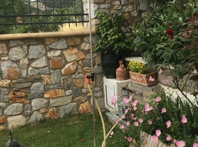 Loukas House PalaiónTsiflíkion